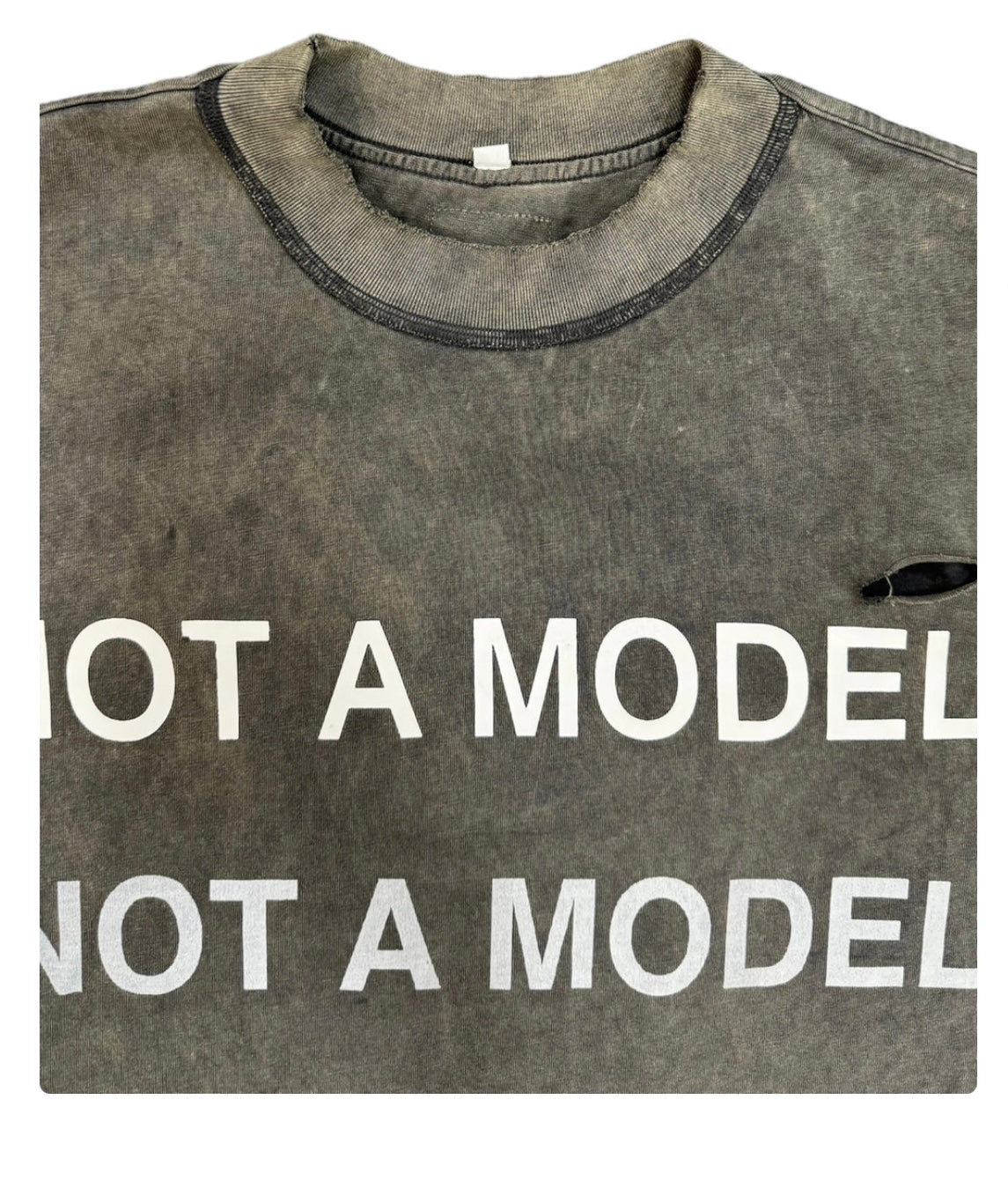 Bottega Desires- NOT A MODEL T-SHIRT